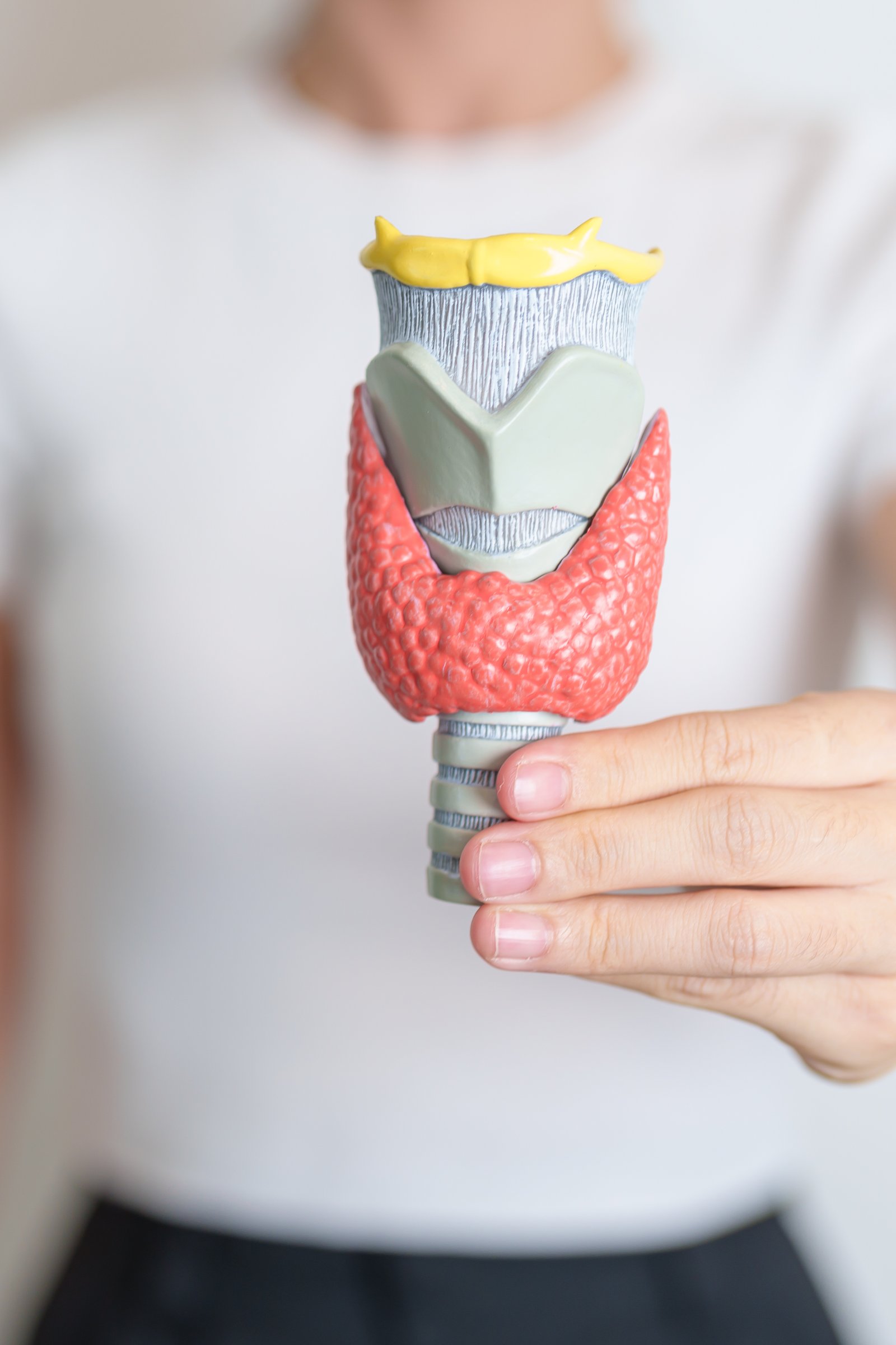 GDEF Clinical Center